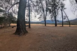 1962 Fouts Springs Rd, Stonyford, CA 95979 - Photo 4