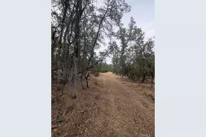 1962 Fouts Springs Road, Stonyford, CA 95979 - Photo 58