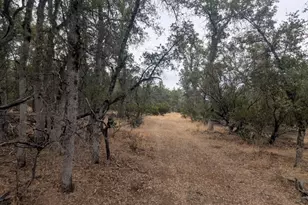 1962 Fouts Springs Rd, Stonyford, CA 95979 - Photo 58