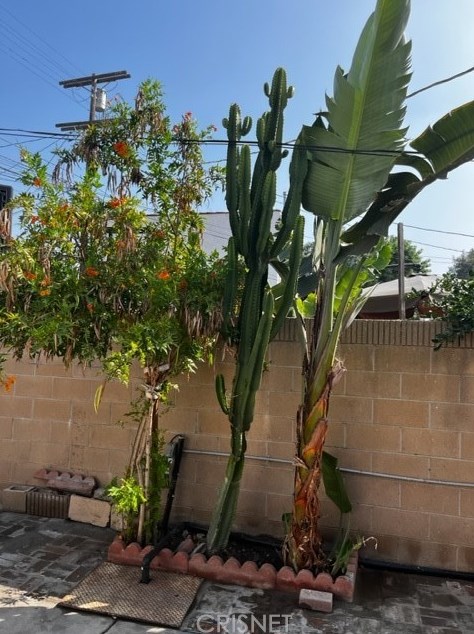 1249 52nd St, Los Angeles CA  90058-3333 exterior