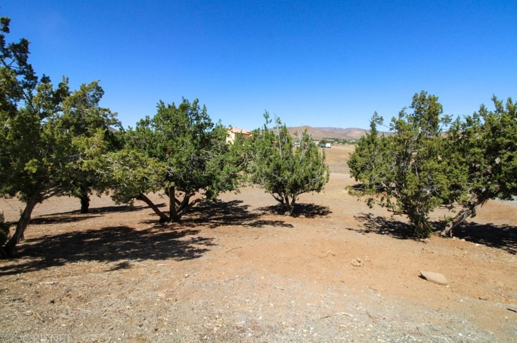 32416 Crown Valley Rd, Acton CA  93510-1991 exterior