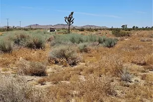 0 Longhorn Ave, Mojave, CA 93501 - Photo 1