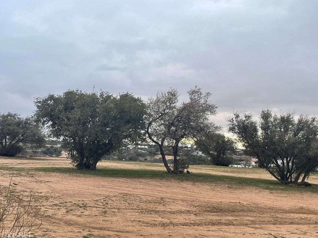 11150 Stuveling St, Hesperia CA  92344-0008 exterior