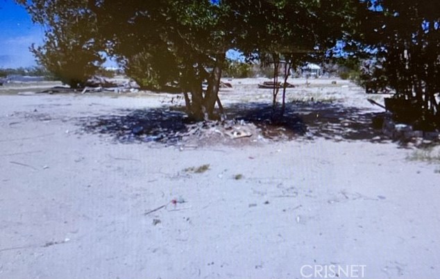 10750 Medanos Ave, Lucerne Valley, CA 92356-7942