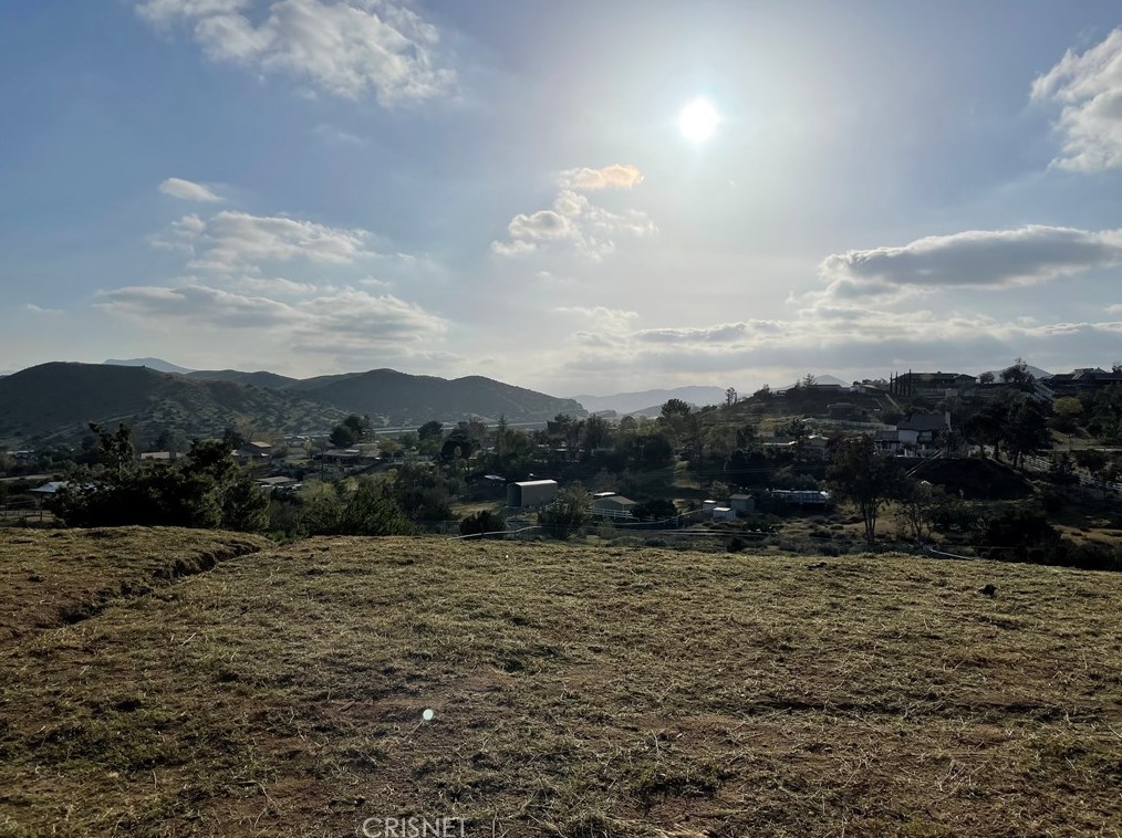 33655 Tradepost Rd, Acton, CA 93510