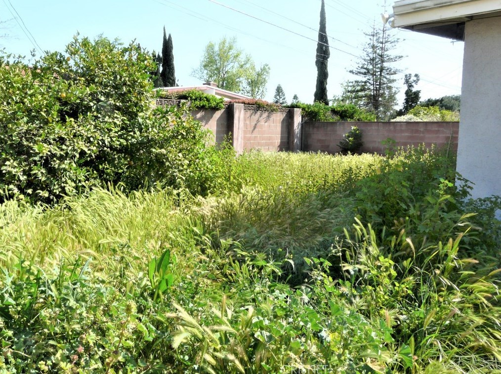 12736 Montford St, Los Angeles CA  91331-1116 exterior