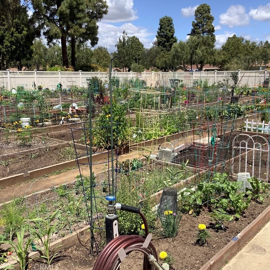 17222 Village 17, Camarillo CA  93012-7404 exterior