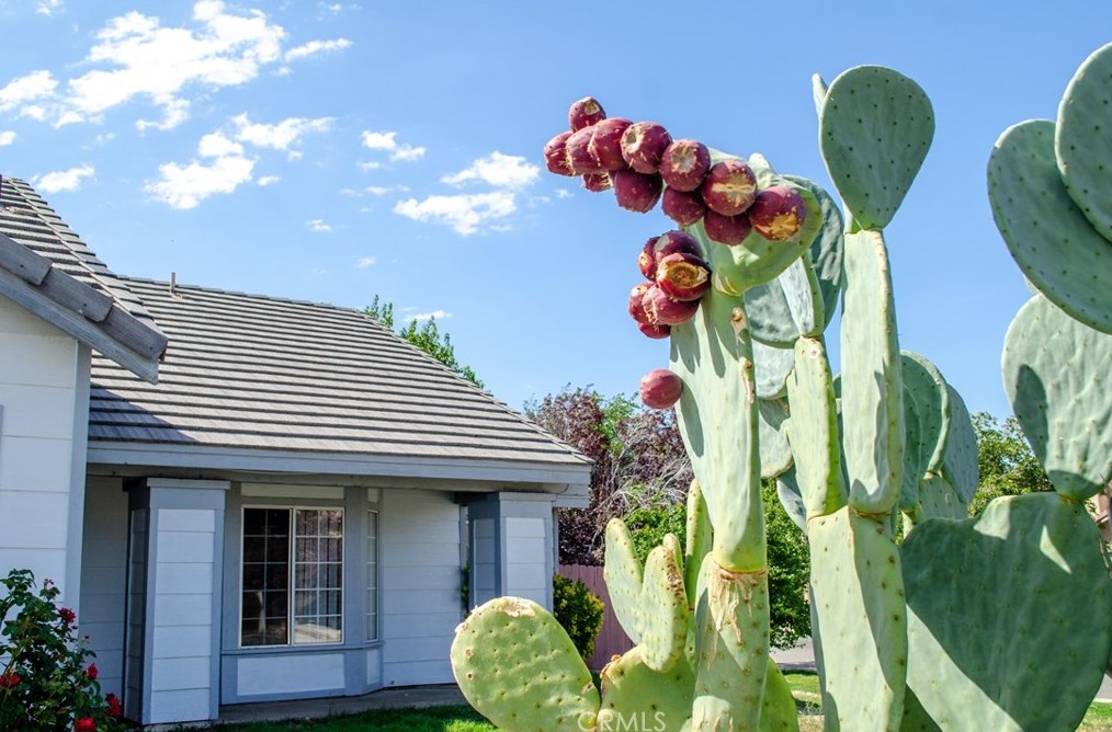 37255 Dawson Dr, Palmdale, CA 93550-2580