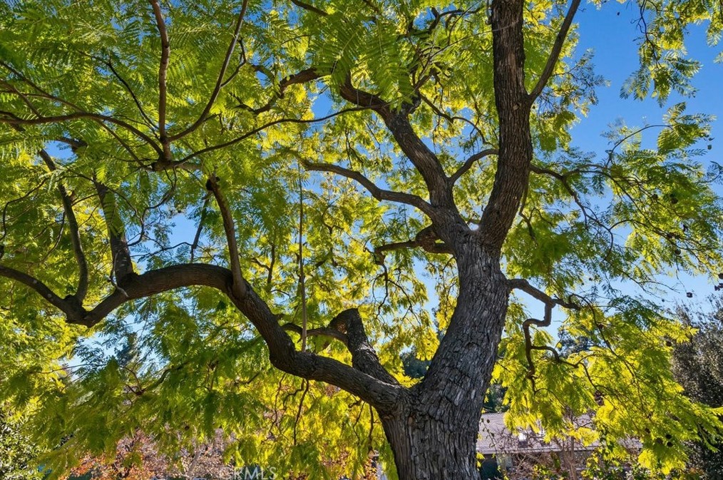 4080 Hayvenhurst Dr, Van Nuys CA  91436-3645 exterior