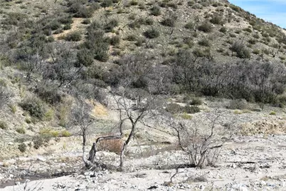 20811 Pine Canyon Road, Lake Hughes, CA 93532 - Photo 6