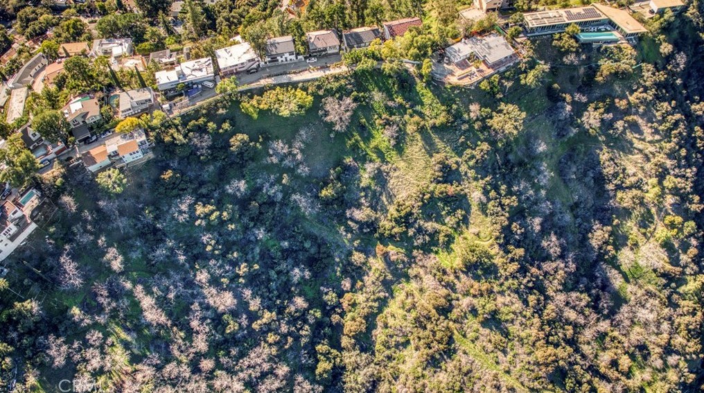 8600 Skyline Dr, Los Angeles CA  90046-1420 exterior