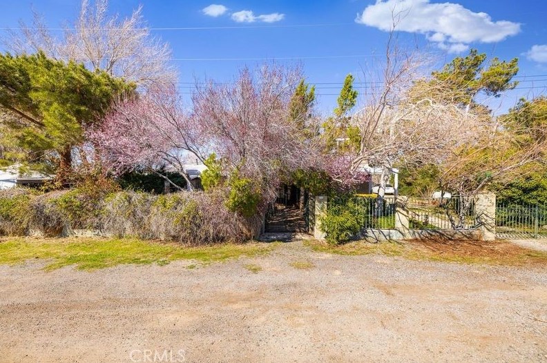 9129 E S10 Ave, Juniper Hills, CA 93543