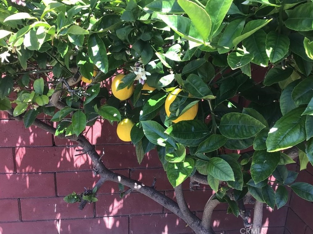2048 K St, Oxnard, CA 93033-3319