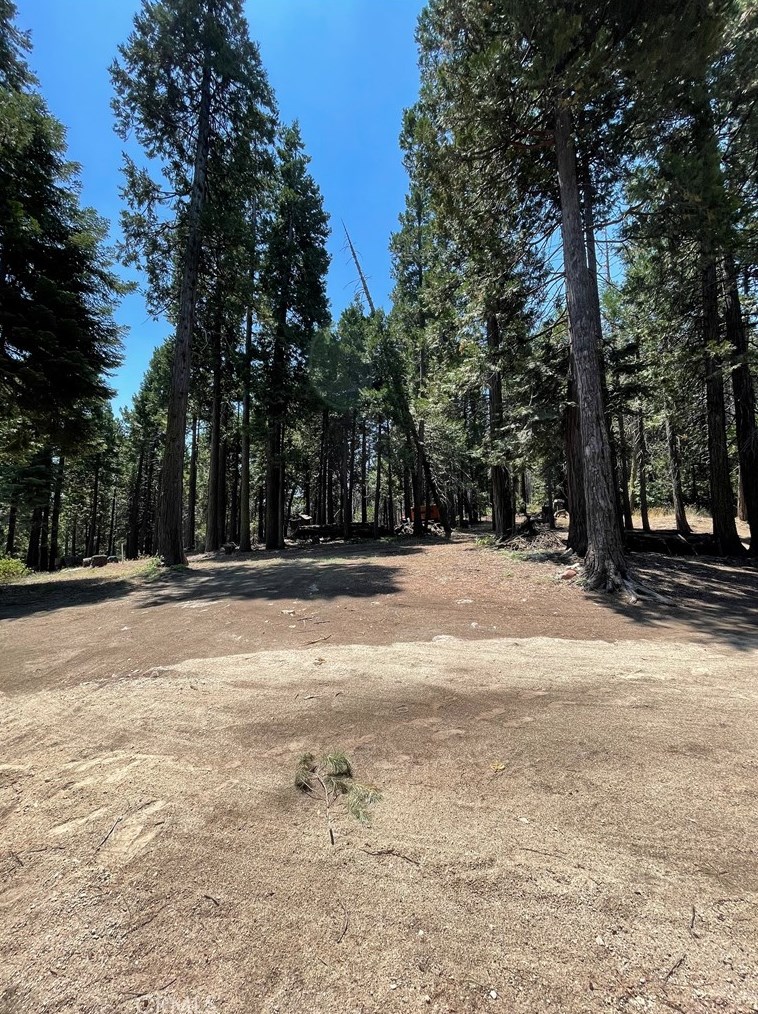 10510 Pine Dr, Wofford Heights, CA 93285
