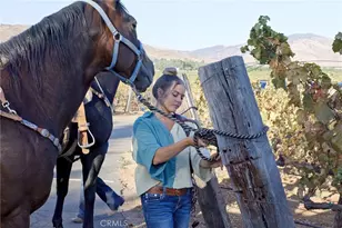 10262 Sierra Hwy, Agua Dulce, CA 91390 - Photo 44