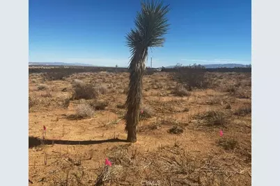 424 Ducor Avenue, Landers, CA 92285 - Photo 2