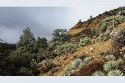 3151 Castle Creek Road, Maricopa, CA 93252 - Photo 16