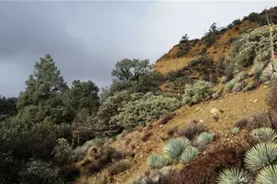 3151 Castle Crk Rd, Maricopa, CA 93252 - Photo 16