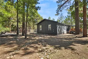 313 Brewer Way, Big Bear City, CA 92314 - Photo 24