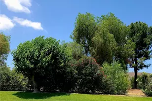 21214 Seep Willow Way, Canyon Country, CA 91351 - Photo 42