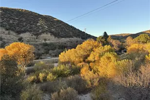 42930 Lake Hughes Rd, Lake Hughes, CA 93532 - Photo 44