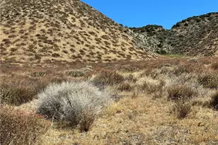 90 W Ave N-8, Leona Valley, CA 93551 - Photo 8