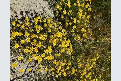 0 W 45th Street, Lancaster, CA 93536 - Photo 4