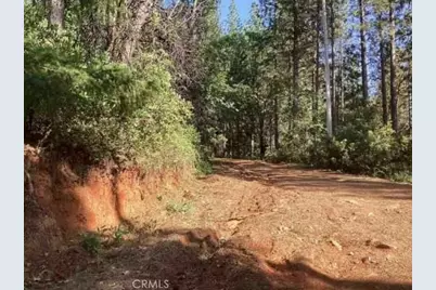 30 White Fir Lane, Oroville, CA 95966 - Photo 4