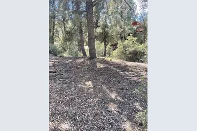 2426 Cedarwood, Pine Mountain Club, CA 93222 - Photo 14