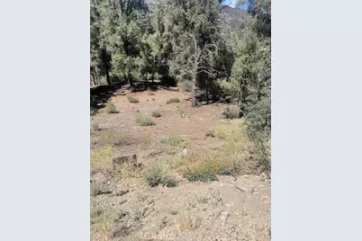 2426 Cedarwood, Pine Mountain Club, CA 93222 - Photo 18