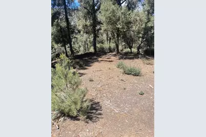 2426 Cedarwood, Pine Mountain Club, CA 93222 - Photo 2