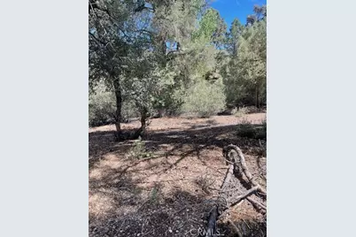 2426 Cedarwood, Pine Mountain Club, CA 93222 - Photo 10