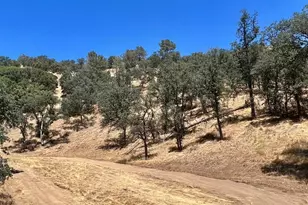 29670 Skyline Dr, Tehachapi, CA 93561 - Photo 66