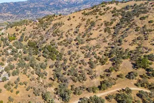 29670 Skyline Dr, Tehachapi, CA 93561 - Photo 54