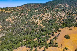 29600 Goldspike Rd, Tehachapi, CA 93561 - Photo 34