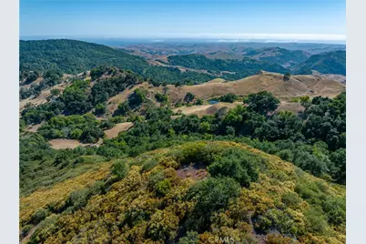 3265 Cypress Mountain Rd, Templeton, CA 93465 - Photo 24