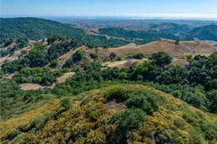 3265 Cypress Mountain Rd, Templeton, CA 93465 - Photo 24