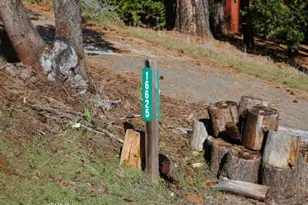 16625 Alpine Ln, Pioneer, CA 95666 - Photo 2