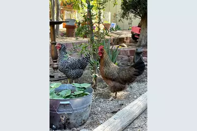 17713 Valley Trail, Lake Hughes, CA 93532 - Photo 26