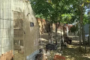 17713 Valley Trail, Lake Hughes, CA 93532 - Photo 44