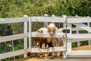 5558 Hoback Glen Rd, Hidden Hills, CA 91302 - Photo 38