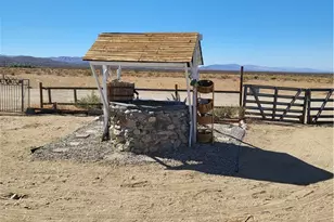 33391 165th, Llano, CA 93544 - Photo 6