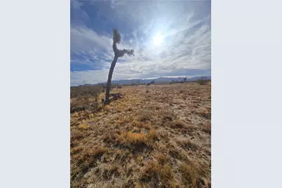 0 263rd Road, Pinon Hills, CA 92372 - Photo 6