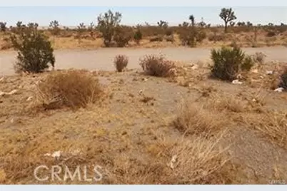 1590 Saratoga Road, Pinon Hills, CA 92372 - Photo 1