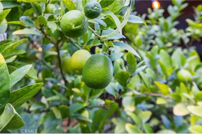 28537 Vista Del Rio, Valencia, CA 91354 - Photo 48