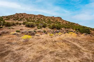 31741 Lake Meadow, Acton, CA 93510 - Photo 46