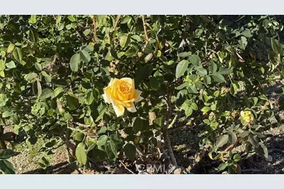 22128 Barbacoa, Saugus, CA 91350 - Photo 34