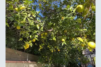 12619 Tiara St., Valley Village, CA 91607 - Photo 30