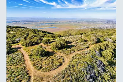 48725 Shallow Springs Road, Leona Valley, CA 93551 - Photo 36