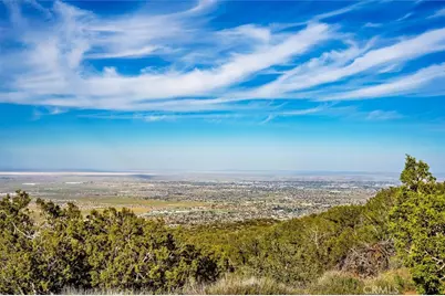 48725 Shallow Springs Road, Leona Valley, CA 93551 - Photo 8